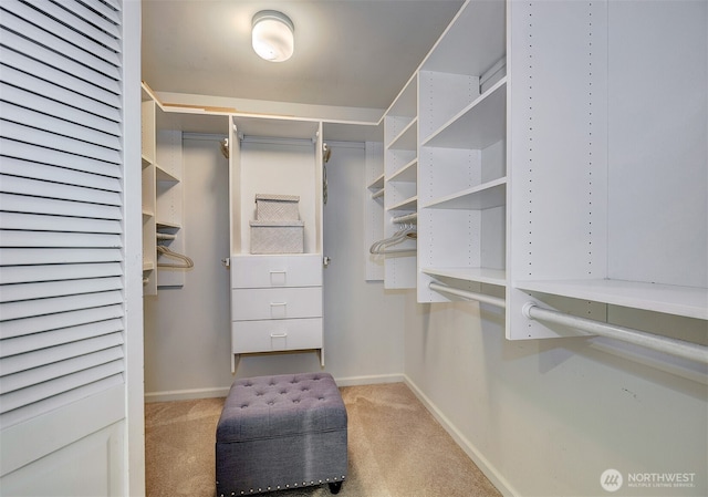 524 Maple St Unit 105, Edmonds, WA 98020 - spacious closet featuring light carpet