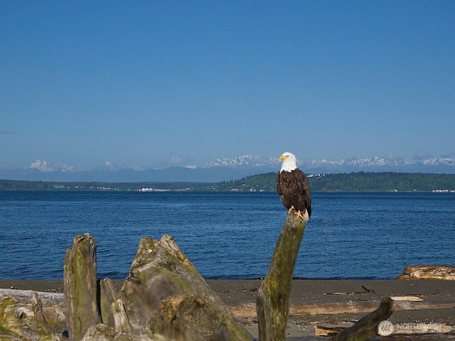 524 Maple St Unit 105, Edmonds, WA 98020 - water view