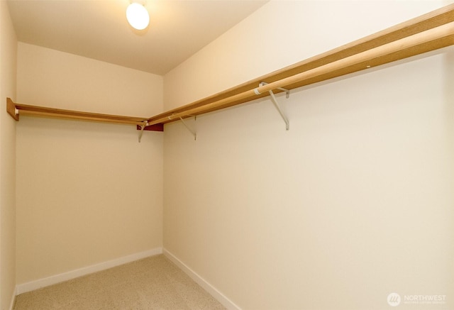 14626 58th Dr SE, Everett, WA 98208 - spacious closet featuring light carpet
