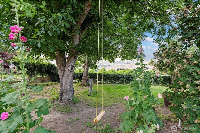 2020 Easy St, Wenatchee, WA 98801 - view of yard