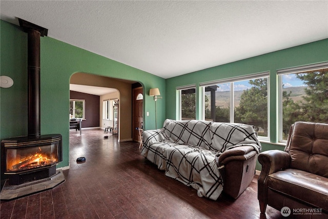 2020 Easy St, Wenatchee, WA 98801 - living area featuring a wood stove, arched walkways, plenty of natural light, dark wood-style flooring, and vaulted ceiling