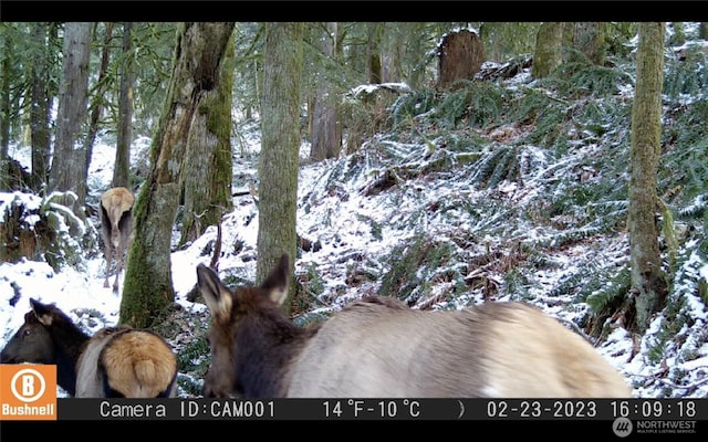 44701 SE Edgewick Rd, North Bend, WA 98045