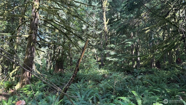44701 SE Edgewick Rd, North Bend, WA 98045