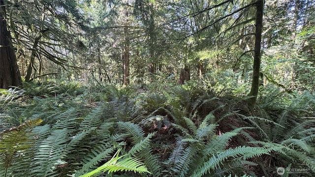 44701 SE Edgewick Rd, North Bend, WA 98045