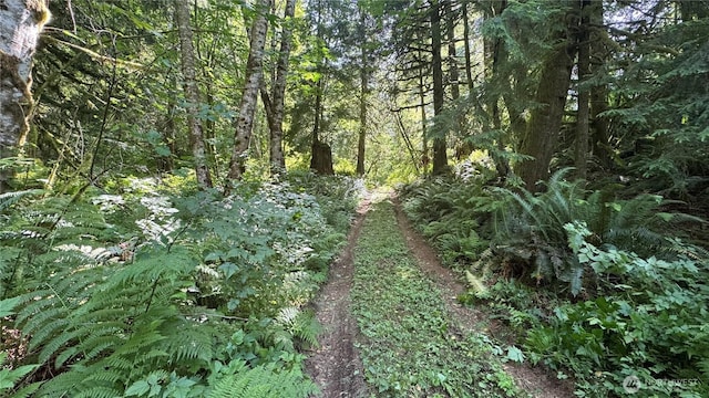 44701 SE Edgewick Rd, North Bend, WA 98045