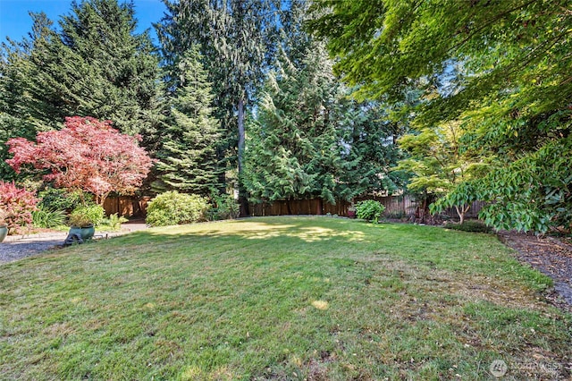 3518 59th Street Ct NW, Gig Harbor, WA 98335 - photo 33