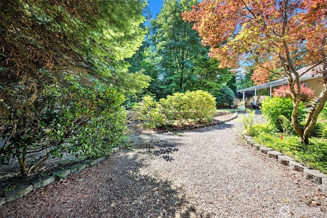 3518 59th Street Ct NW, Gig Harbor, WA 98335 - photo 34