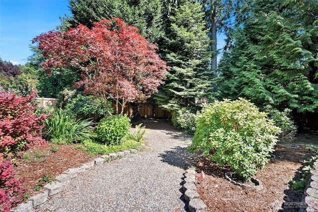 3518 59th Street Ct NW, Gig Harbor, WA 98335 - photo 35
