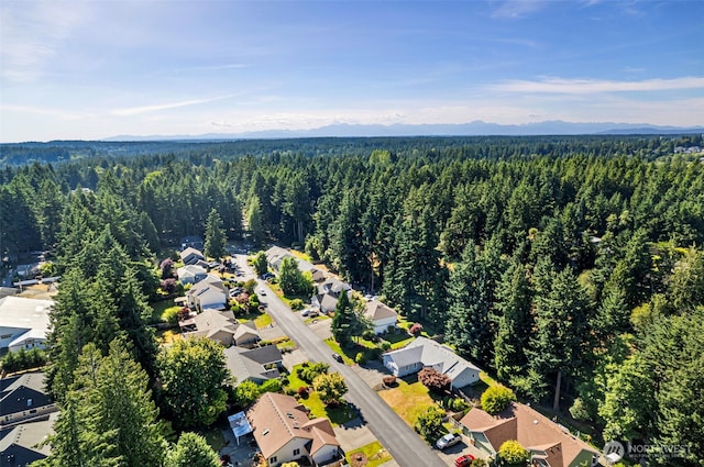 3518 59th Street Ct NW, Gig Harbor, WA 98335 - photo 39