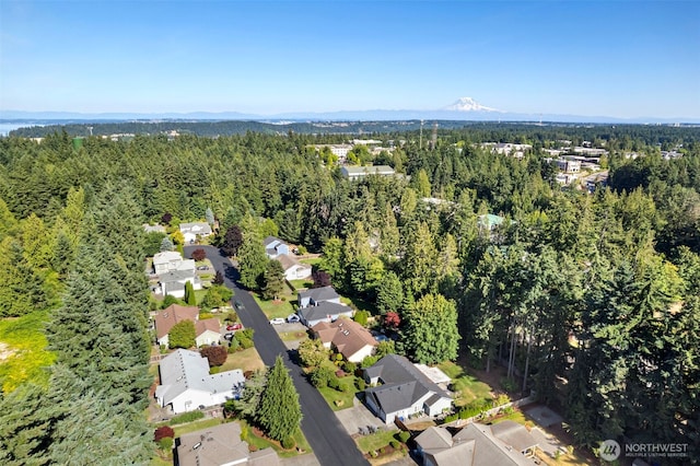 3518 59th Street Ct NW, Gig Harbor, WA 98335 - photo 40