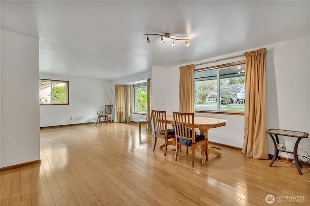 11022 SE 313th St, Auburn, WA 98092 - dining room with plenty of natural light and light wood finished floors