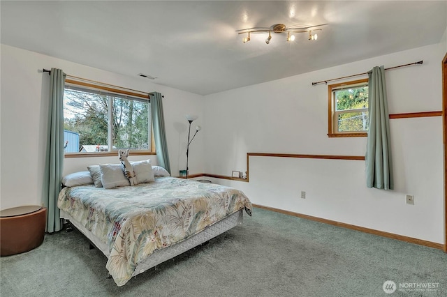 11022 SE 313th St, Auburn, WA 98092 - bedroom featuring carpet flooring