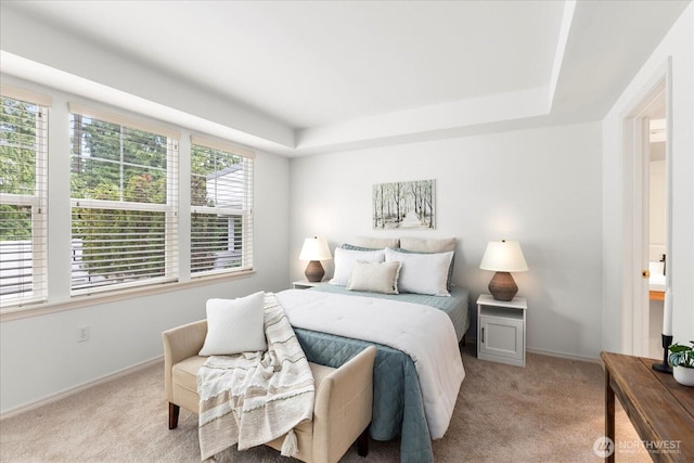 8500 Main St Unit F205, Edmonds, WA 98026 - bedroom with light carpet and a raised ceiling