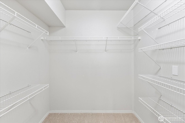 8500 Main St Unit F205, Edmonds, WA 98026 - walk in closet featuring carpet floors