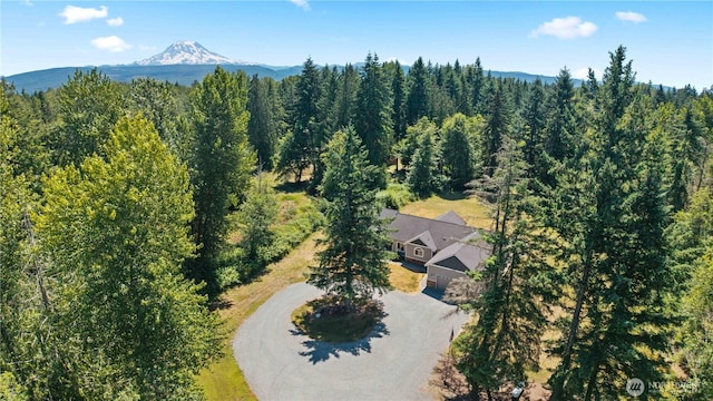 15208 250th St E, Graham, WA 98338 - photo 29
