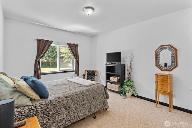 15208 250th St E, Graham, WA 98338 - photo 13