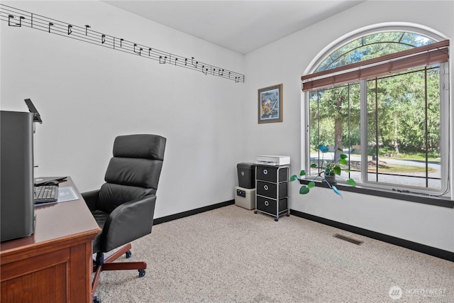 15208 250th St E, Graham, WA 98338 - photo 15
