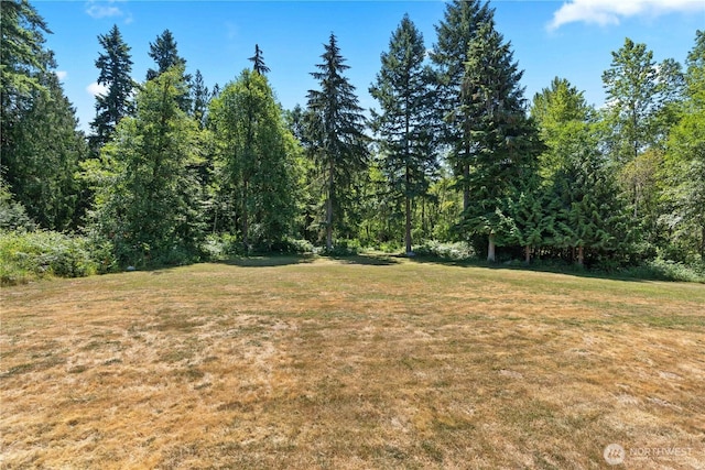 15208 250th St E, Graham, WA 98338 - photo 34