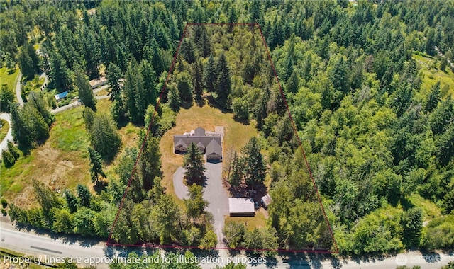 15208 250th St E, Graham, WA 98338 - photo 37