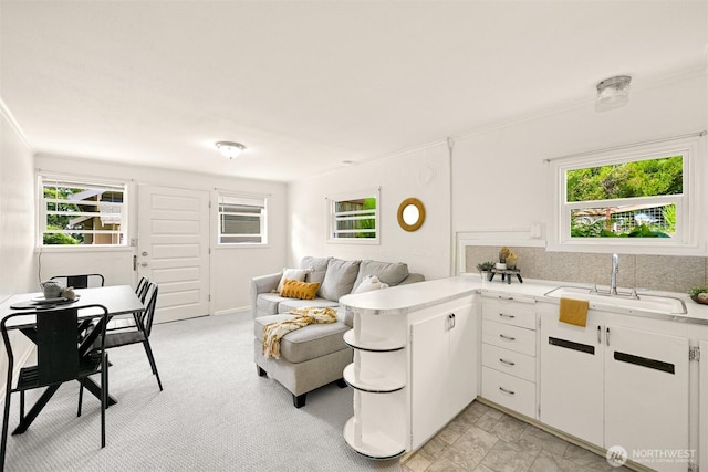 251 N Garden St, Bellingham, WA 98225 - living area featuring healthy amount of natural light and ornamental molding