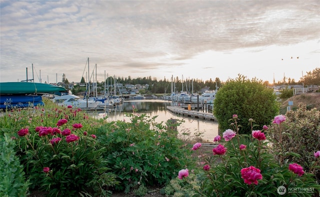 8265 Skeena Way, Blaine, WA 98230 - view of community with a water view and a boat dock