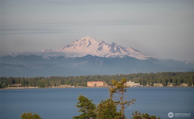 8265 Skeena Way, Blaine, WA 98230 - water view with a heavily wooded area and a mountain backdrop