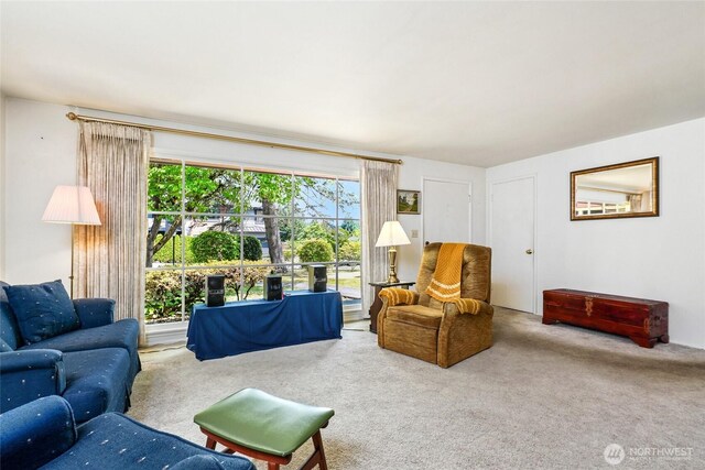10629 NE 26th St, Bellevue, WA 98004 - view of carpeted living room