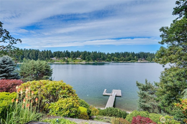 6638 Hilltop Ln, Lakewood, WA 98499 - photo 39