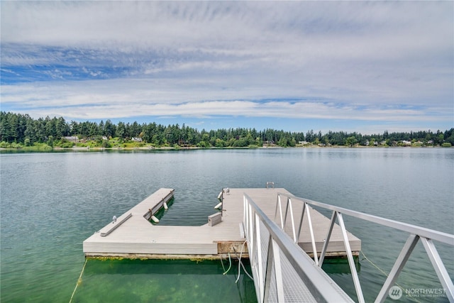 6638 Hilltop Ln, Lakewood, WA 98499 - photo 38