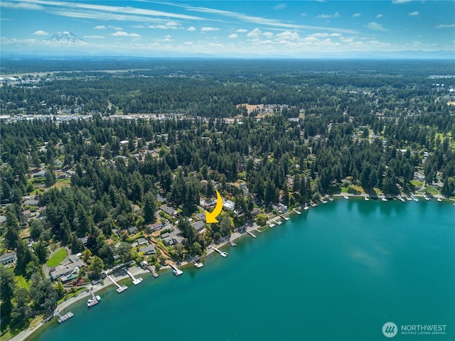 6638 Hilltop Ln, Lakewood, WA 98499 - photo 6