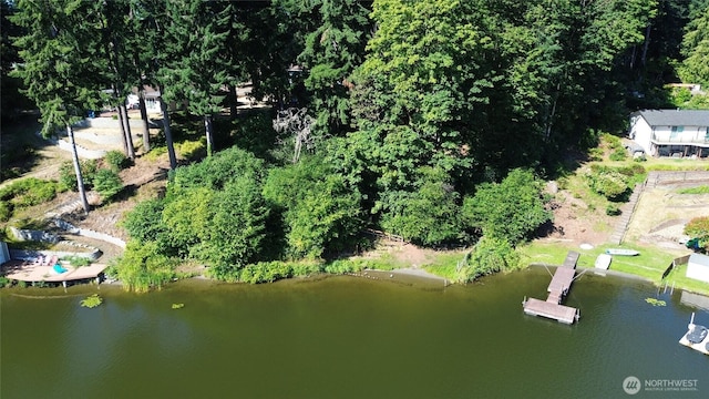 7605 38th Ct SE, Lacey, WA 98503 - aerial overview of property's location featuring a large body of water