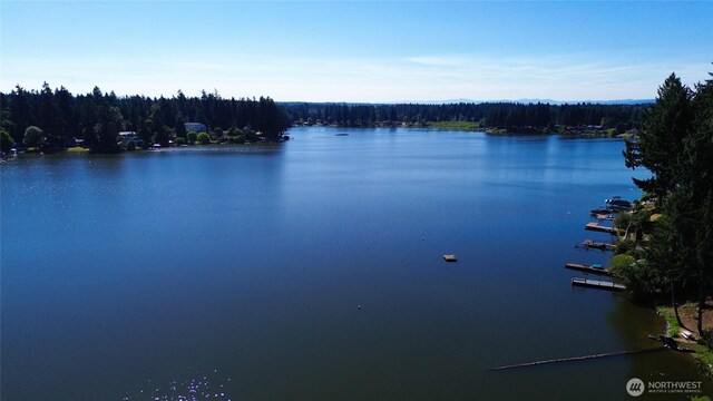 7605 38th Ct SE, Lacey, WA 98503 - water view with a forest
