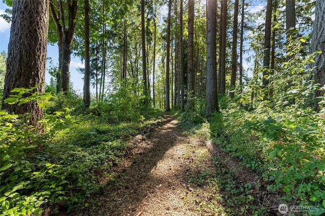 7605 38th Ct SE, Lacey, WA 98503 - view of local wilderness