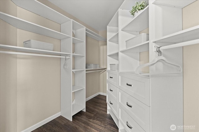 4212 145th Pl SE, Snohomish, WA 98296 - walk in closet featuring dark wood-style flooring
