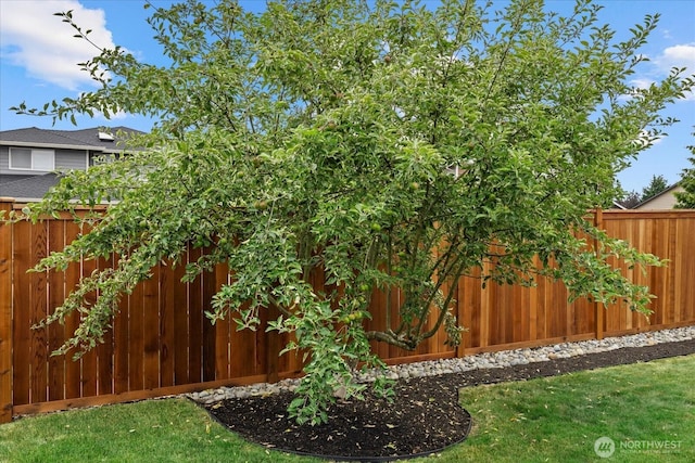 4212 145th Pl SE, Snohomish, WA 98296 - view of yard