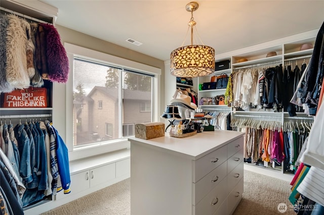 619 Graham Ave NE, Renton, WA 98059 - walk in closet featuring carpet floors
