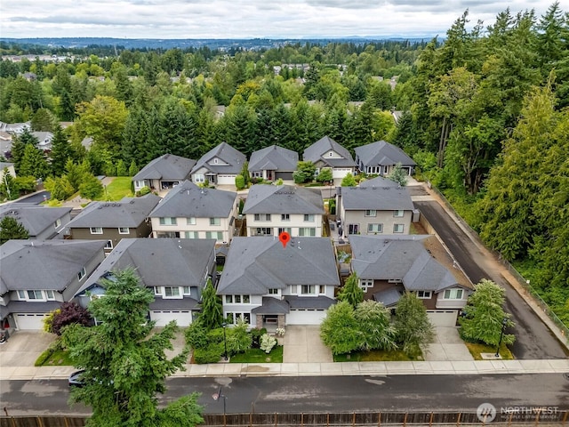 619 Graham Ave NE, Renton, WA 98059 - aerial perspective of suburban area