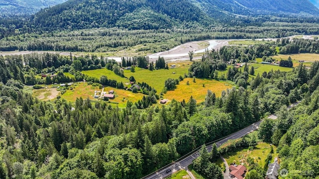 5510 Mt Baker Hwy, Deming, WA 98244 - aerial view of property and surrounding area with a heavily wooded area and a mountainous background