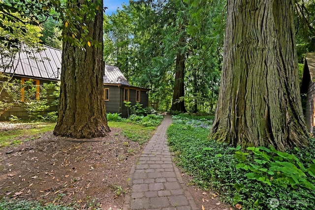 5510 Mt Baker Hwy, Deming, WA 98244 - view of yard