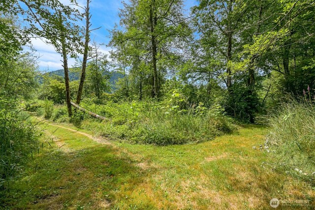 5510 Mt Baker Hwy, Deming, WA 98244 - view of nature