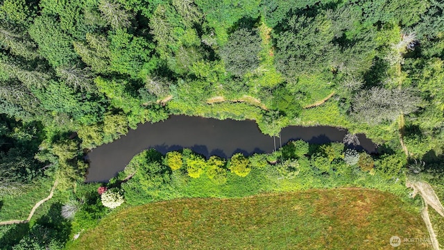 5510 Mt Baker Hwy, Deming, WA 98244 - drone / aerial view of a large body of water