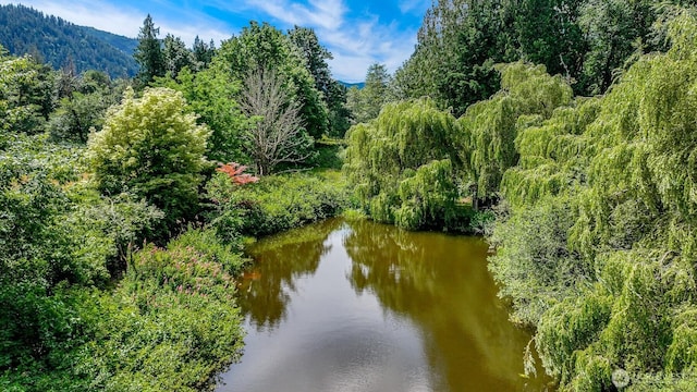 5510 Mt Baker Hwy, Deming, WA 98244 - water view with a heavily wooded area and a mountainous background