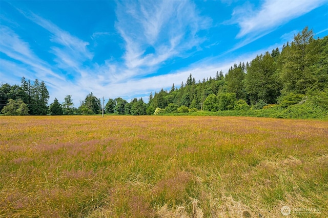 5510 Mt Baker Hwy, Deming, WA 98244 - view of wooded area
