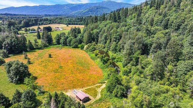 5510 Mt Baker Hwy, Deming, WA 98244 - bird's eye view of a heavily wooded area and a mountainous background