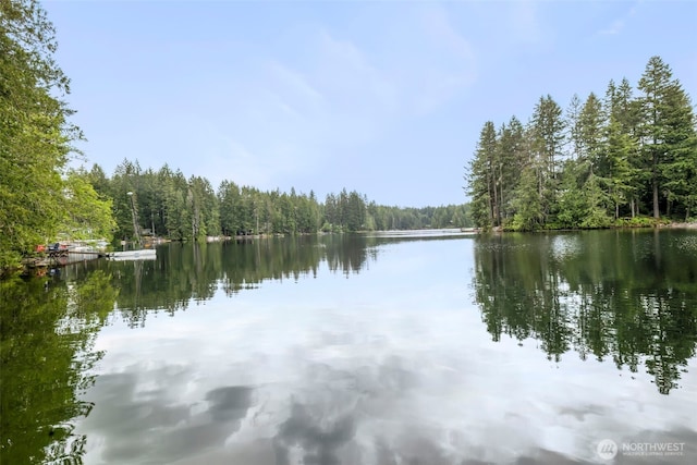 13540 Carney Lake Rd SW, Port Orchard, WA 98367 - water view featuring a heavily wooded area