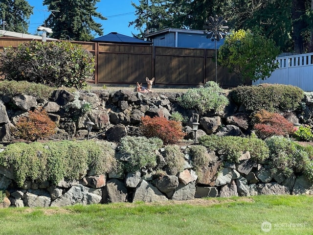30026 5th Ave SW, Federal Way, WA 98023 - view of yard