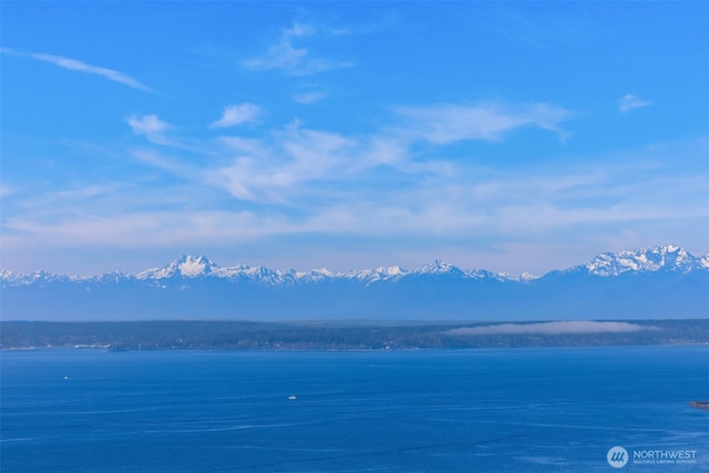 583 Battery St Unit 3802, Seattle, WA 98121 - water view