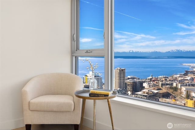 583 Battery St Unit 3802, Seattle, WA 98121 - living area featuring a water view and a view of city