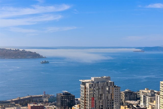 583 Battery St Unit 3802, Seattle, WA 98121 - water view featuring nearby urban area