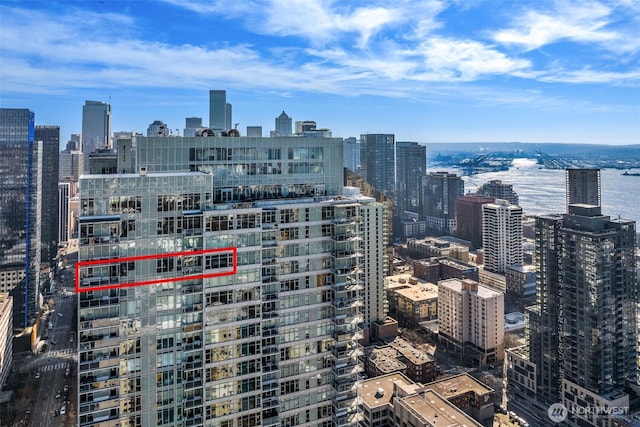 583 Battery St Unit 3802, Seattle, WA 98121 - view of city skyline